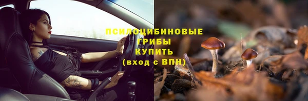 ПСИЛОЦИБИНОВЫЕ ГРИБЫ Володарск