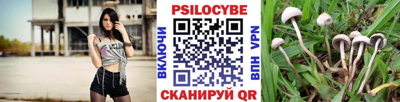 сколько стоит  Апатиты  мориарти какой сайт  Галлюциногенные грибы прущие грибы 