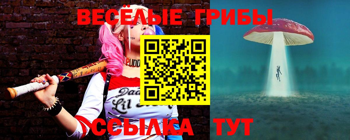 Псилоцибиновые грибы прущие грибы Апатиты